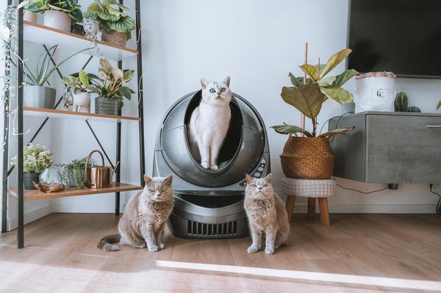 Robot for Your Kitty? Why the Heck Not! Approved by 13000+ Pet Parents, Litter-Robot Is Here to Scoop Out Litter Woes