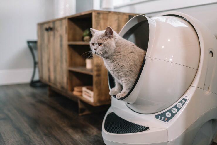 Robot for Your Kitty? Why the Heck Not! Approved by 13000+ Pet Parents, Litter-Robot Is Here to Scoop Out Litter Woes 