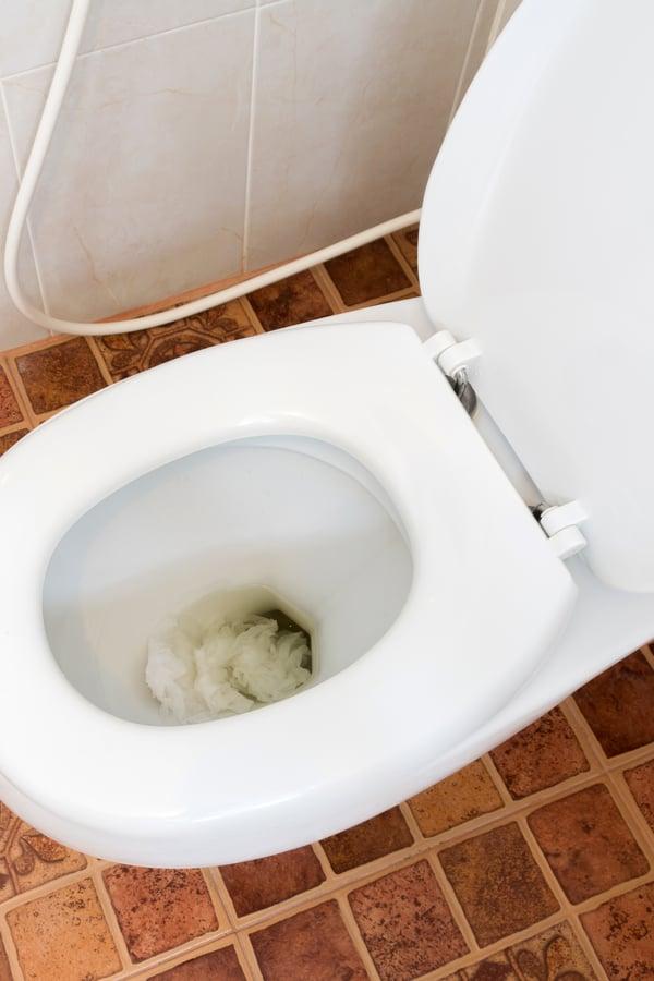 Solved! What to Do When the Toilet Won’t Flush 