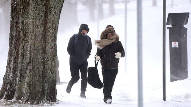 Ice Storm Warning issued for the weekend 