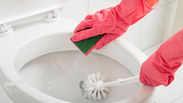 How to clean a toilet brush – and how to keep it clean 