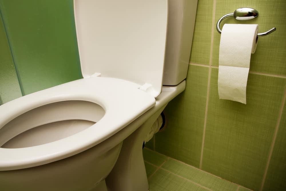 The Best Toilet Seats of 2022 
