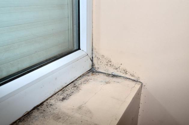 Solved! Why There Is Mold on the Window Sill and What to Do About It