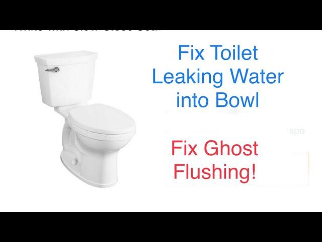‘Ghost-Flushing’: American Standard Champion Toilets Suffer from Gasket, Valve Defect, Class Action Claims 