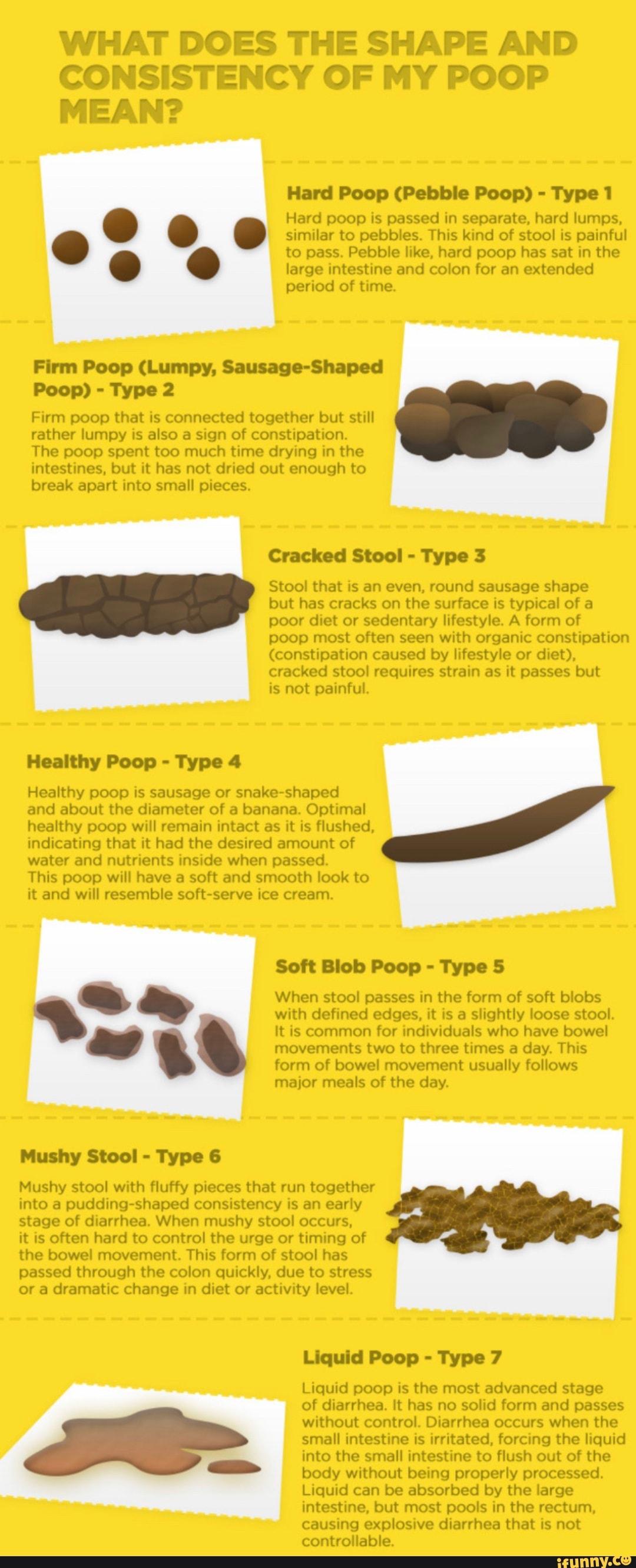 Everything you need to know about pebble poop 