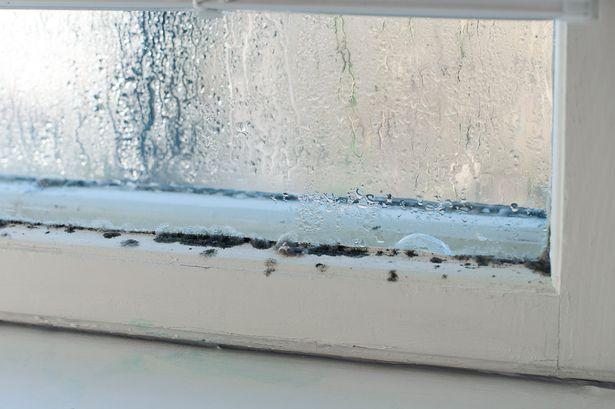 Experts share how to get rid of window condensation and avoid dangerous black mould 