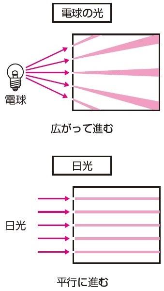 有名中学受験：理科「ピンホールカメラの上下左右がさかさまになる理由を述べよ」