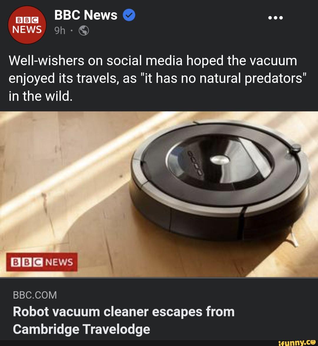 In the wild, robot vacuum cleaners have no natural predators 