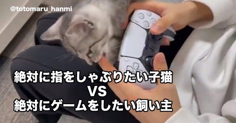 甘えんぼう猫と飼主の《キュートな攻防戦》に反響「赤ちゃんみたい」「健気さに涙出てきた…」