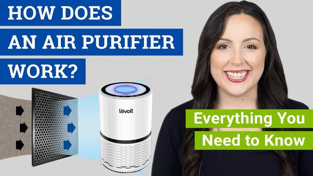 Do Air Purifiers Actually Work? 