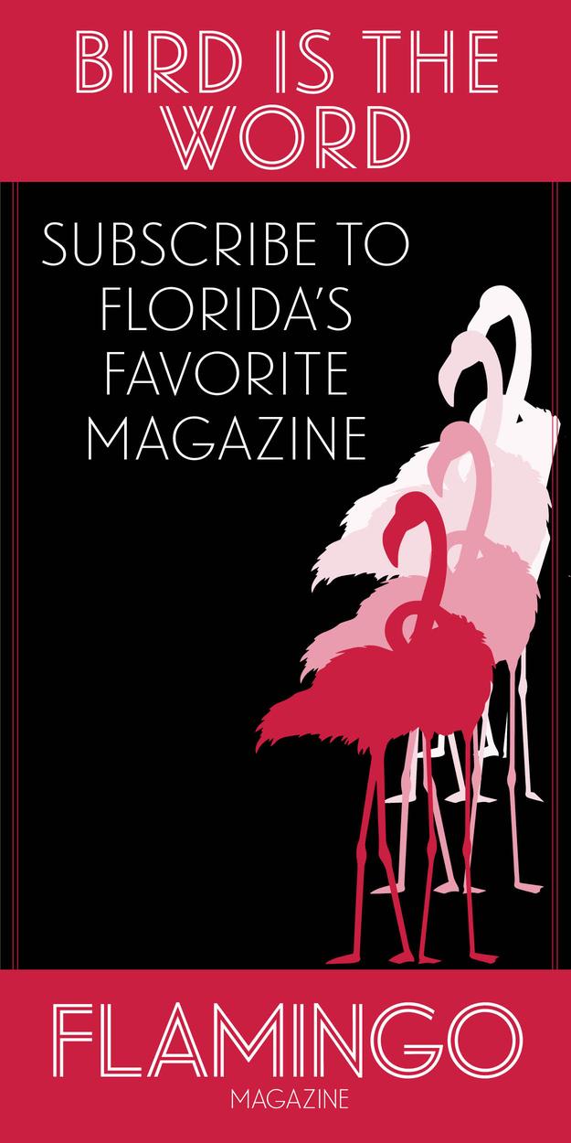 Calling All Readers (and Writers): 13 Favorite Florida Indie Bookstores | Flamingo Magazine 