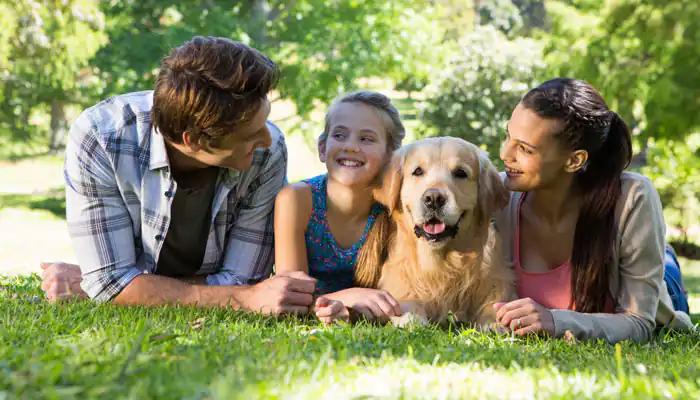 Robopets to replace your loving dog soon 