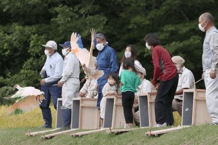 佐渡・野浦の空にトキ5羽舞う