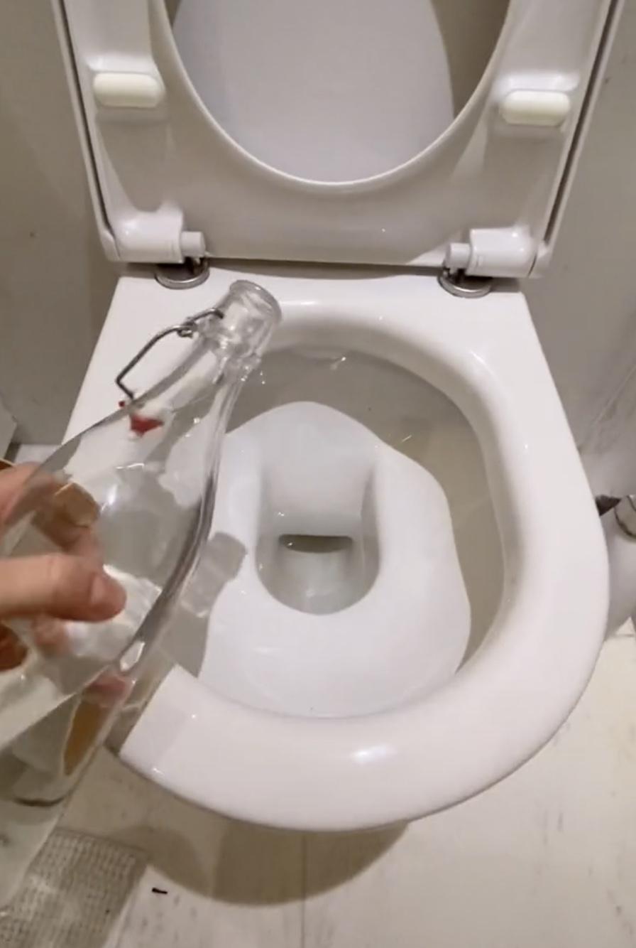 ‘Doing it wrong all this time!’ Unbelievable TikTok toilet hack will blow your mind 