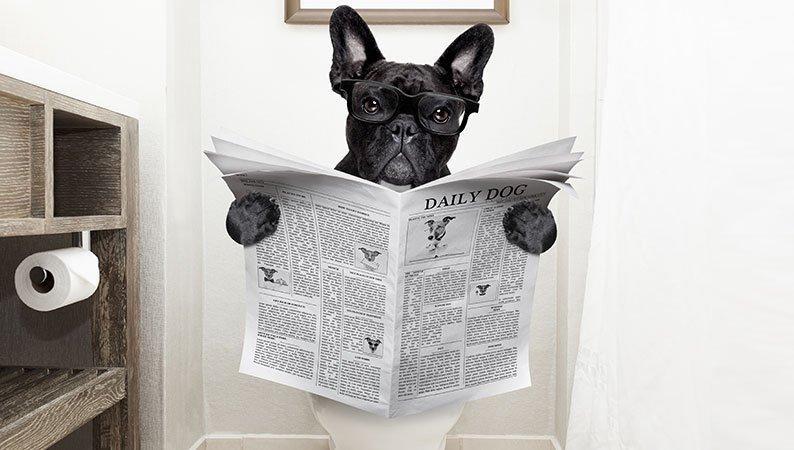 Everyday IP — Flushing out the facts: When was indoor plumbing invented?