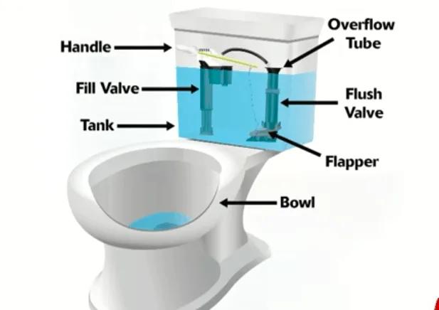 Here's what to do when the toilet flusher won't flush 