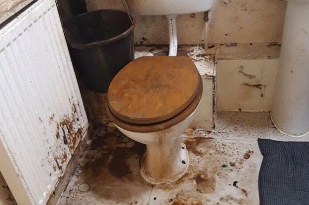 Man's disgusting council flat that 'sewage has been leaking into for three years'