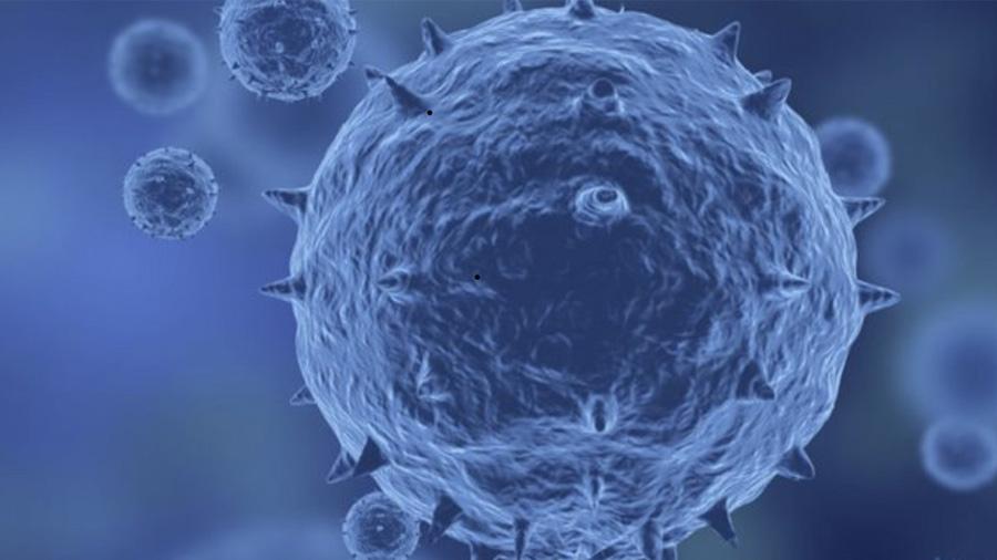 China Coronavirus Updates: Latest Developments and Business Advisory