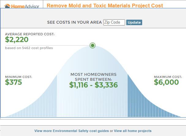 How Much Does Mold Remediation Cost? 