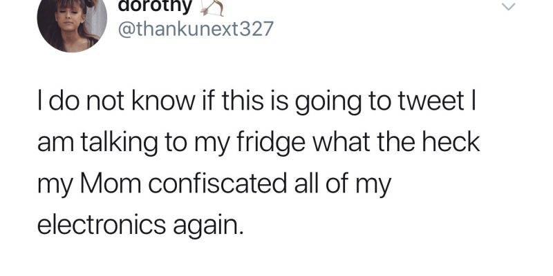  Teen Fools The World With Tweets From LG Smart Fridge