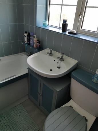 Woman gets ‘carried away’ with Frenchic paint and turns her entire drab bathroom blue - even the bath, toilet and sink