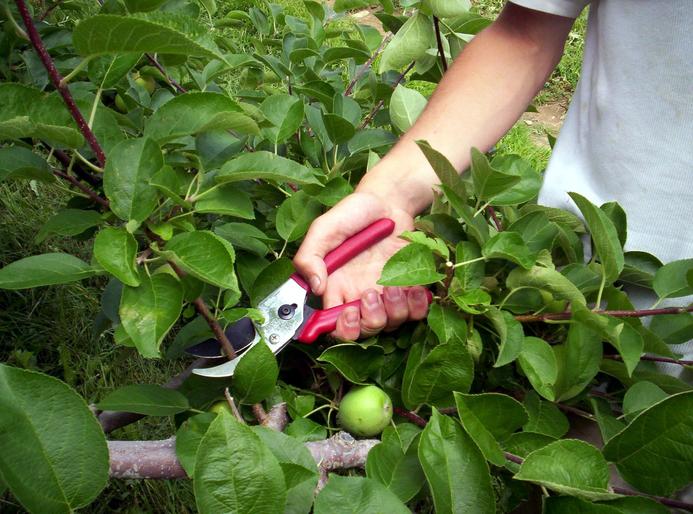 Savvy mum shows filth in areas she rarely cleans, including the washing line - when was the last time YOU cleaned them? 