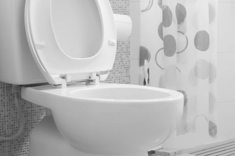Intelligent Toilet Seat Cover Market Growing Rapidly with Latest Trend and Future scope with Top Key Players- Panasonic, LIXIL 