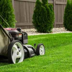 8 Lawn Mower Deals To Shop Before Spring Arrives