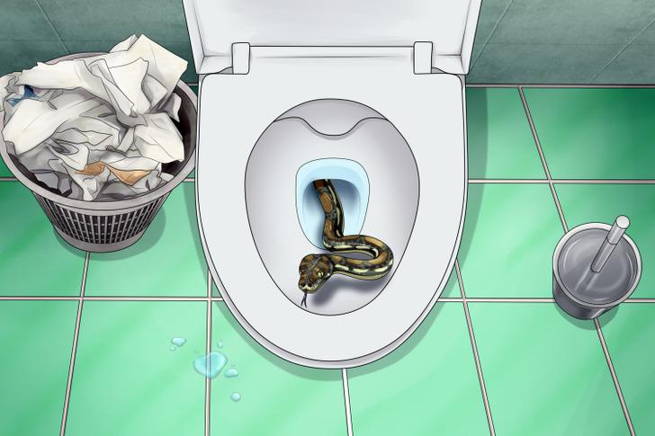 4 Creatures Can Crawl In Through Your Toilet. Here’s How To Deter Them.  