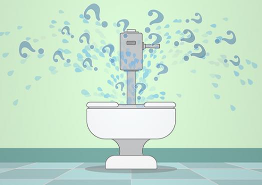 Why we need to know about toilet plume