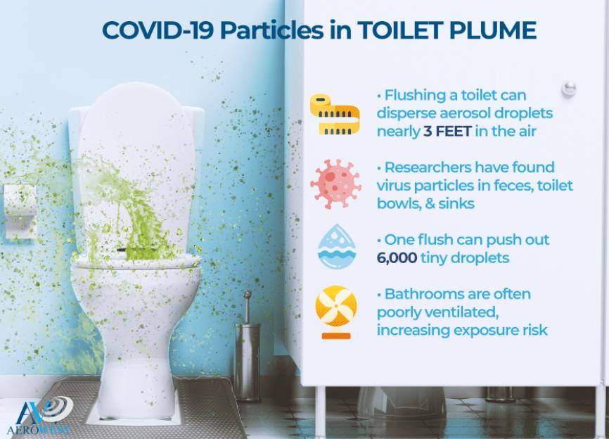 Why we need to know about toilet plume 