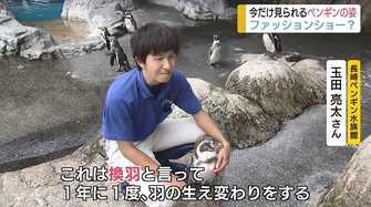  ペンギンが全力集中する“年に1度のファッションショー”とは？【長崎発】  