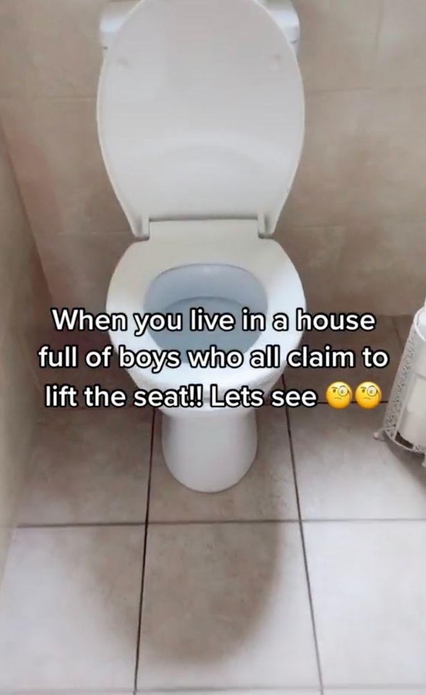 Mum's genius TikTok hack which proves whether or not her sons lift the toilet seat 