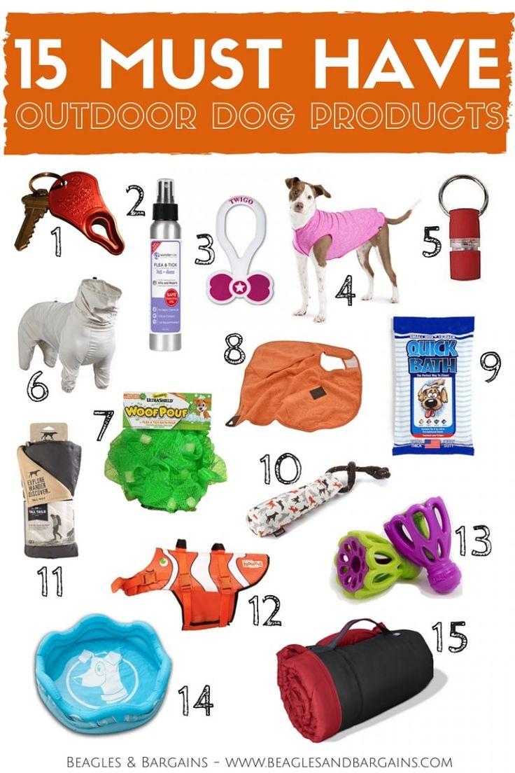 15 Must-Have Accessories for Any Dog Owner 