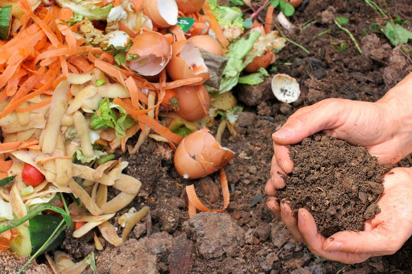 How to Start Composting at Home