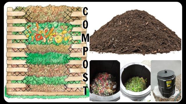 How to Start Composting at Home 