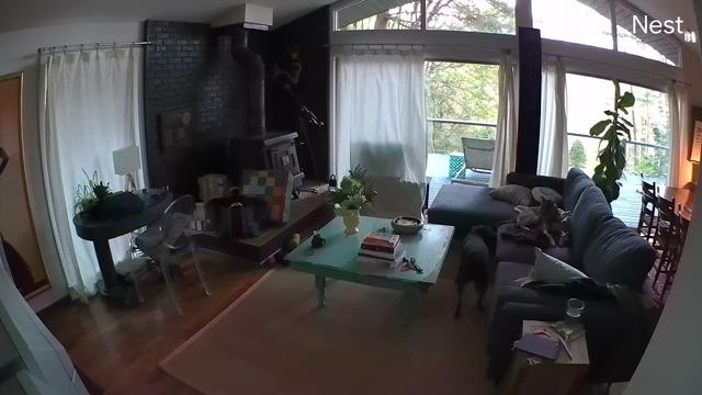 www.androidpolice.com Nest Cam indoor (2nd gen) review: Some strings attached 