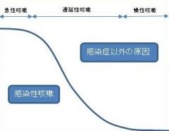  空せき、痰を伴うせき、発作性せき…せきによくある4つのタイプ　Explanation of symptoms and causes by American experts 