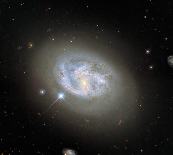  幻想的なリング状構造の渦巻銀河　ハッブルが撮影した「NGC 1317」 