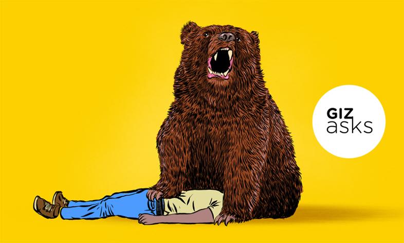 Can humans and bears be "friends"?