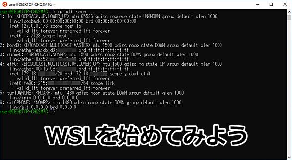 First step to start the Linux environment "WSL" on Windows 10/11: WSL (page 1/3) to start