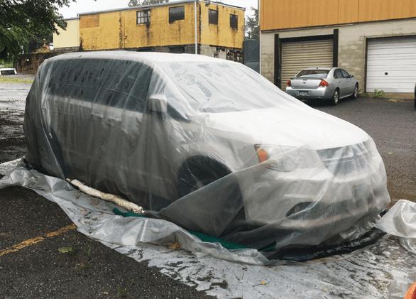 Think Small: Vehicle Fumigation Wipes Out Bed Bugs 