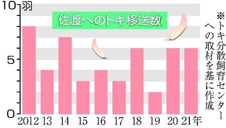 トキ分散飼育10年、放鳥候補地へ期待も 