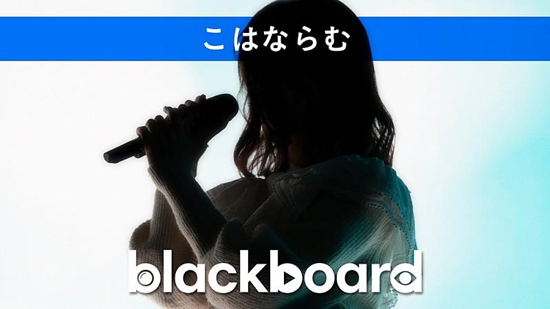  音虎とEriiが『blackboard』出演、SNSで話題の3rdシングル「バカだ私は」披露 