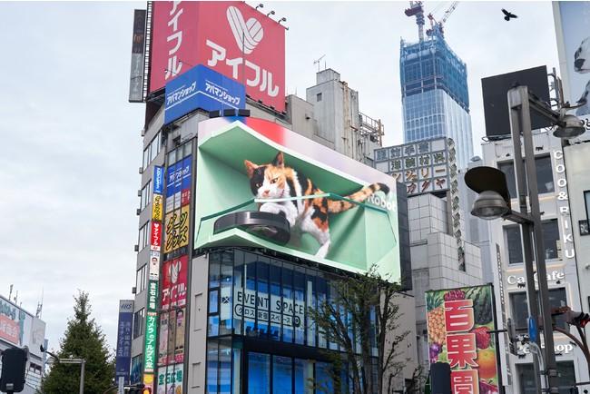 世界中に拡散された新宿東口の3D巨大猫シリーズ最新作『#ネコにルンバを』本日より公開開始 