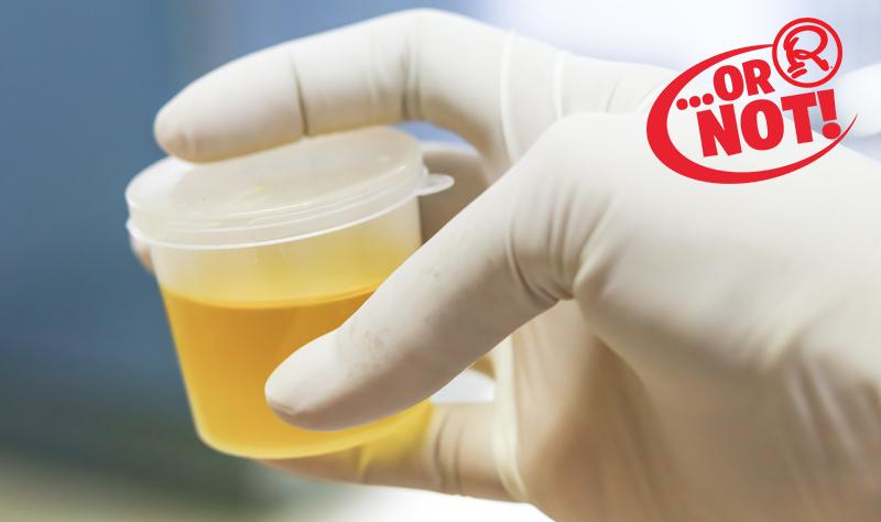 Is Urine Sterile? Fact vs. Fiction