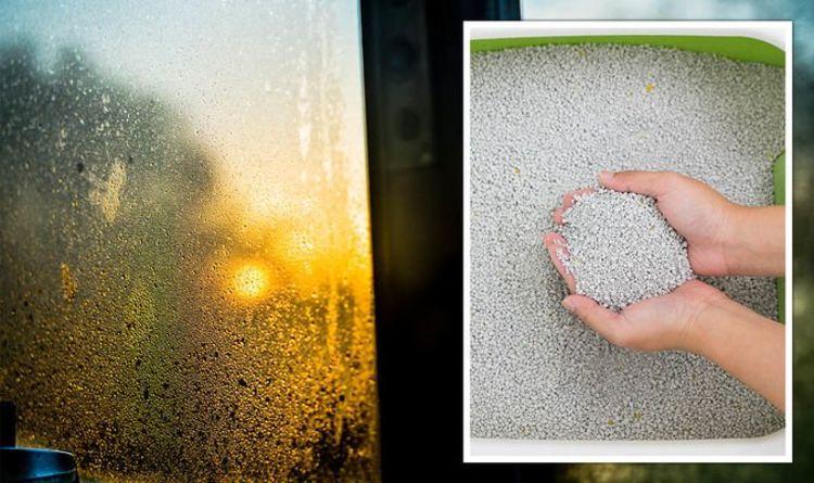 How to stop condensation on windows – 11 expert ways 