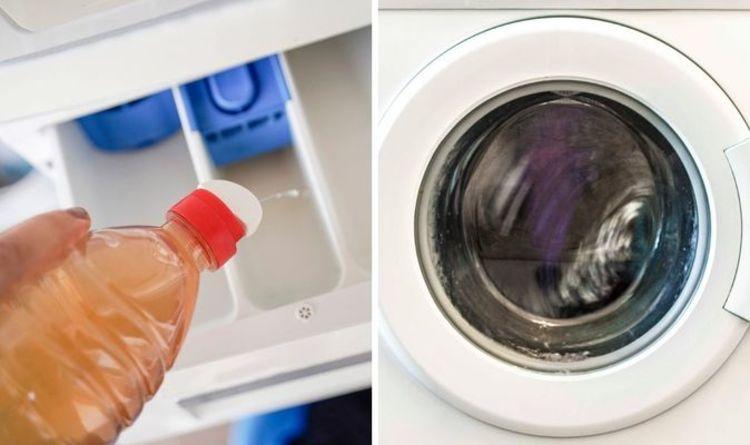 Easy white vinegar hack to clean your washing machine and detergent drawer