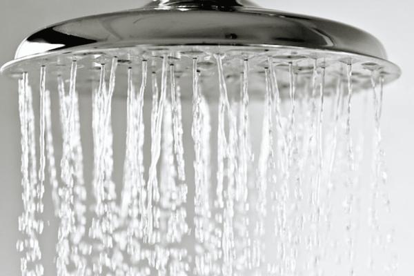 What’s the Best Showerhead? A Guide to Rain Showers, Low-Flows, and More Are you a home owner?