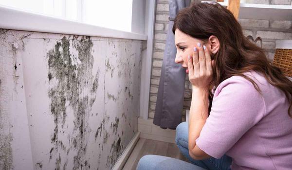 Things to know about mould and condensation in your home 